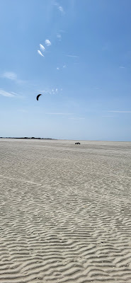 Le Crotoy à Le Crotoy