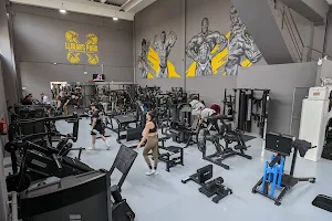 LLINARS PARK BODYBUILDING CENTER image