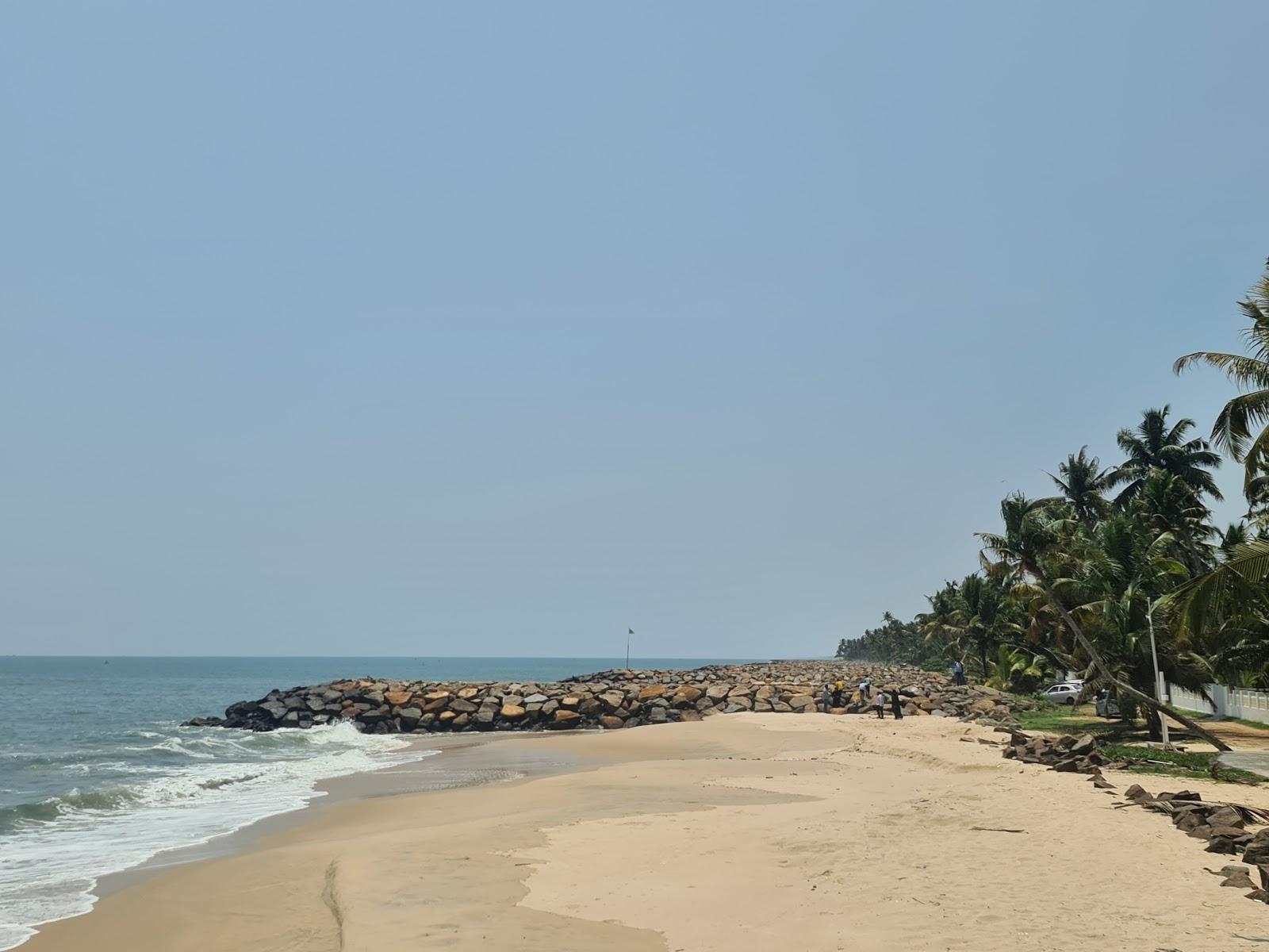 Foto de Thaickal Beach área selvagem