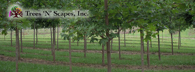Trees 'N' Scapes, Inc.