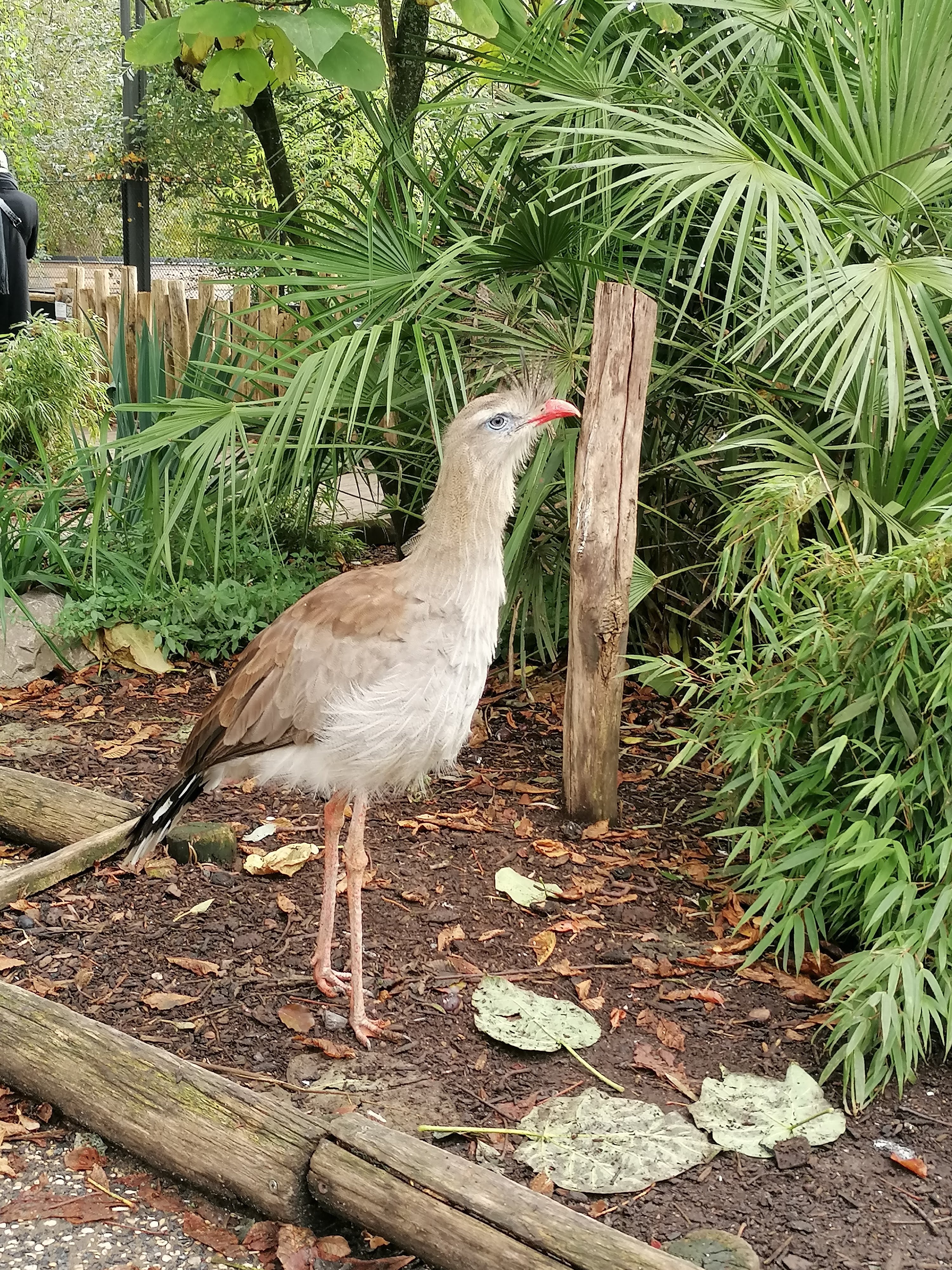Photo n° 11 de l'avis de Gaele.e fait le 30/10/2023 à 08:36