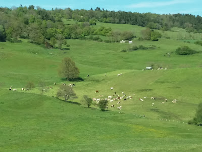 Guillemin Emmanuel à Saint-Léger-lès-Paray