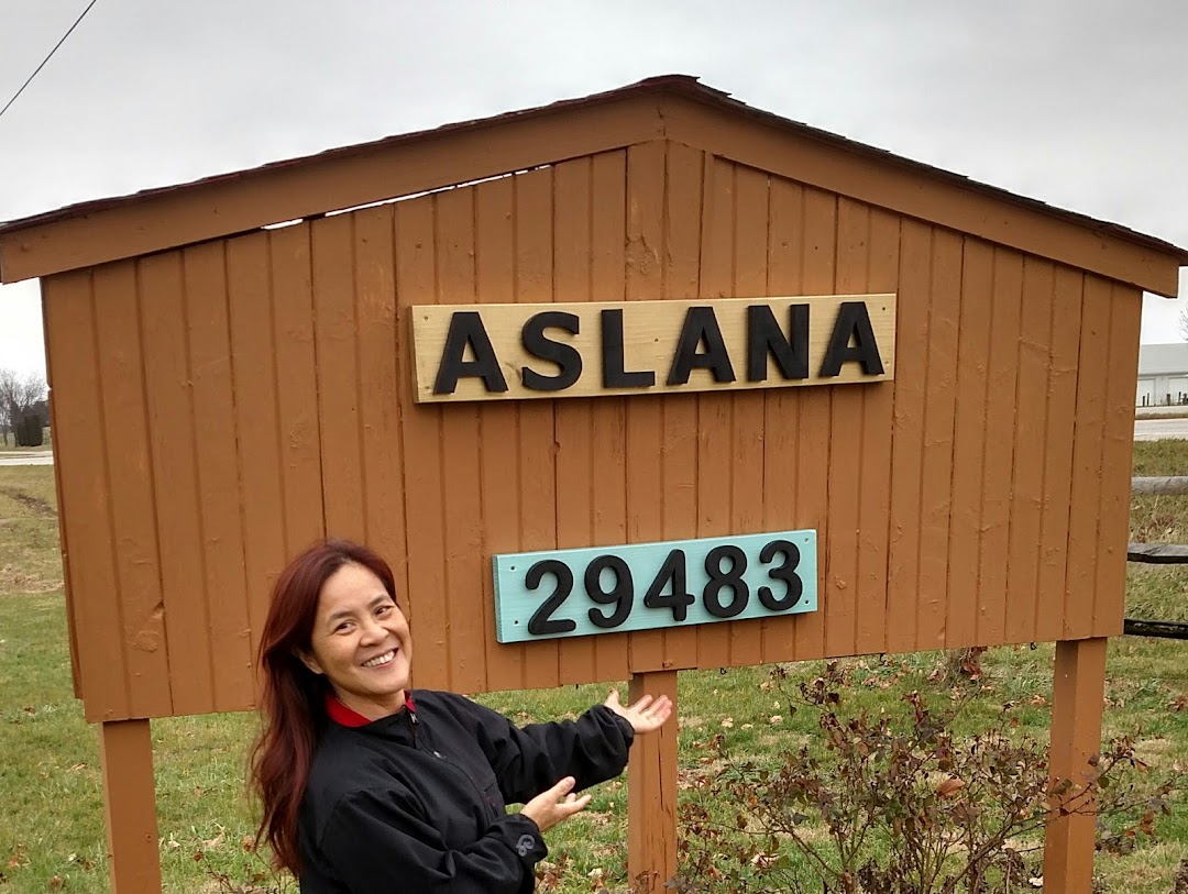 Aslana LLC