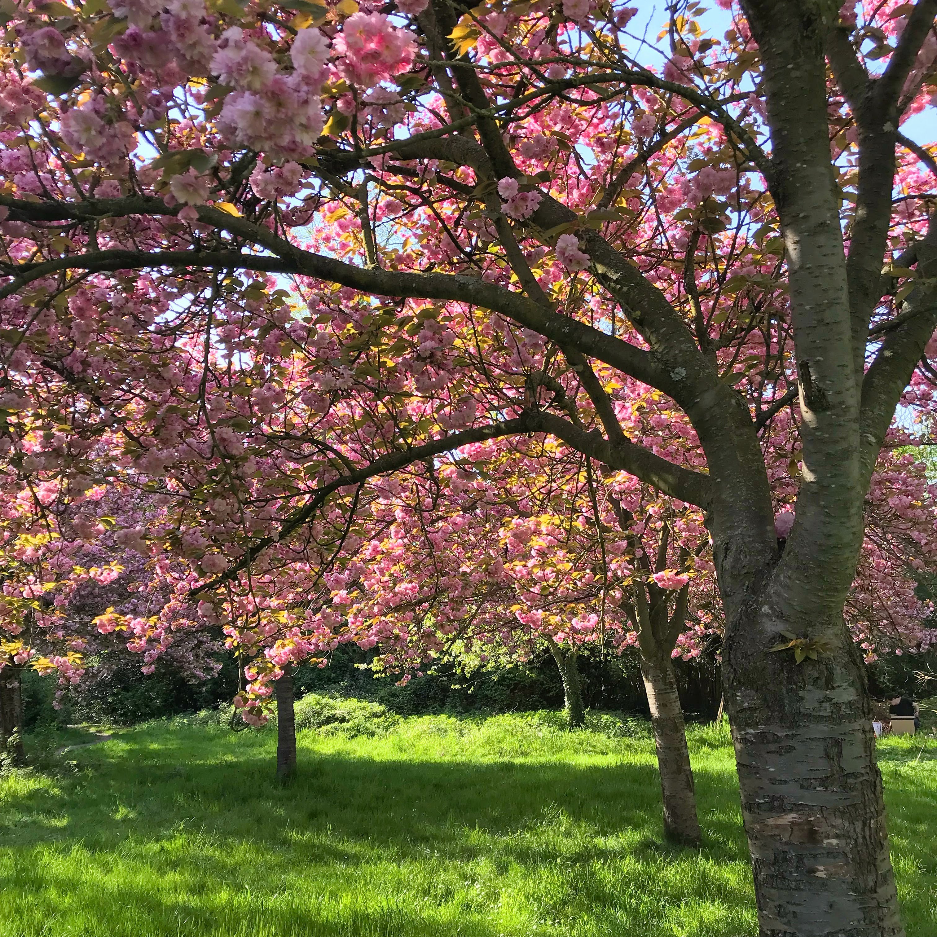 Photo n° 2 de l'avis de Franck.a fait le 02/05/2018 à 05:52