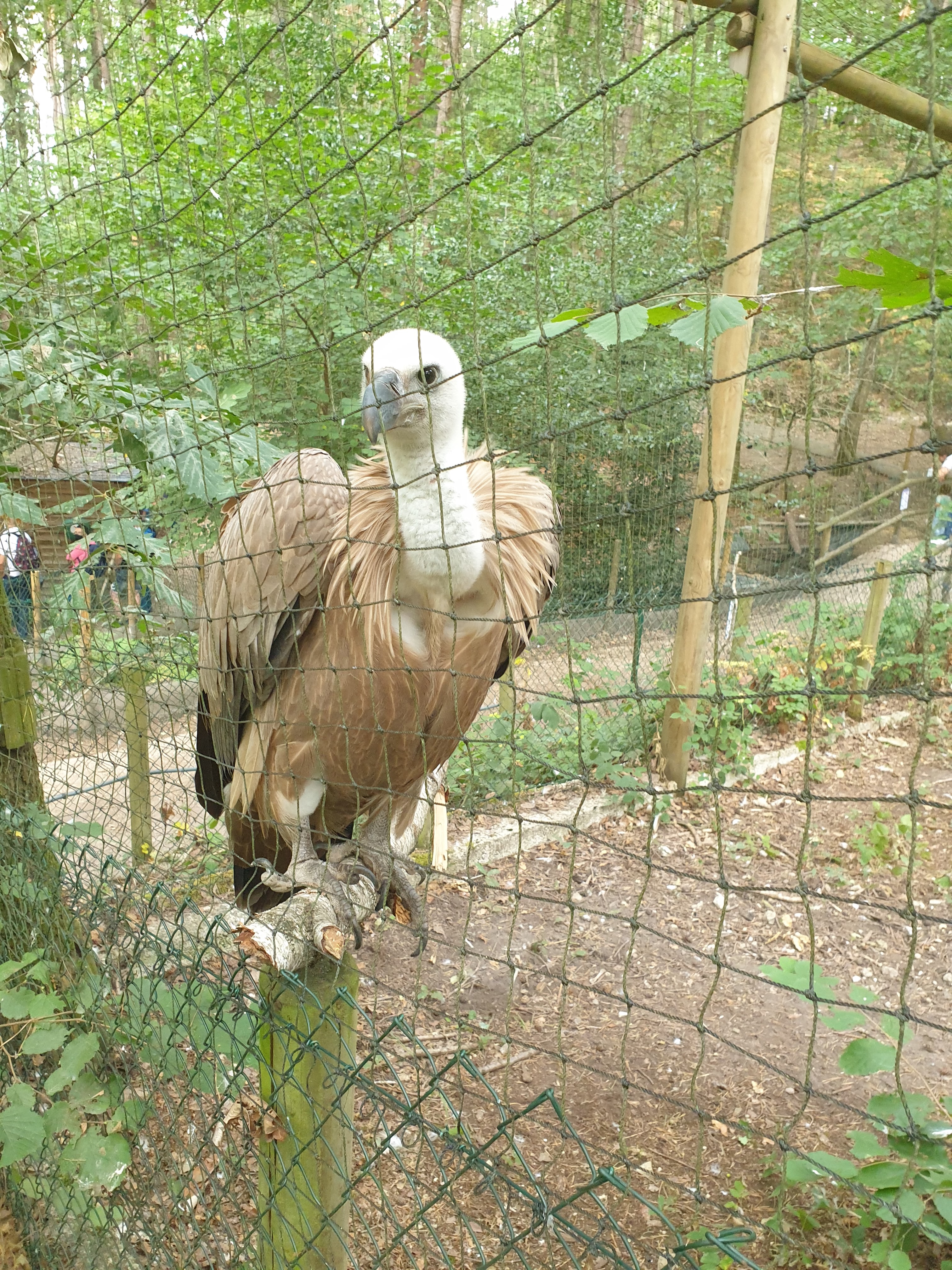 Photo n° 4 de l'avis de Sia.u fait le 18/08/2020 à 16:01