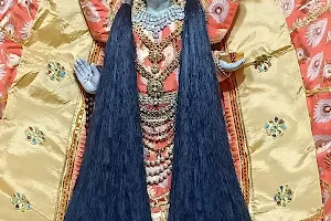 Maa Jalpa Devi Mandir Katni image