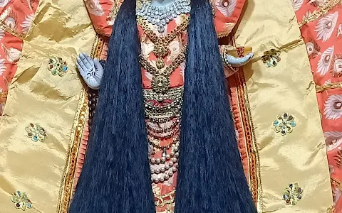 Maa Jalpa Devi Mandir Katni image