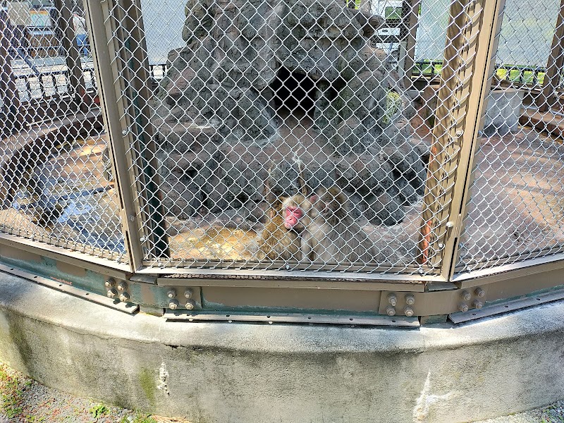 小田原城動物園