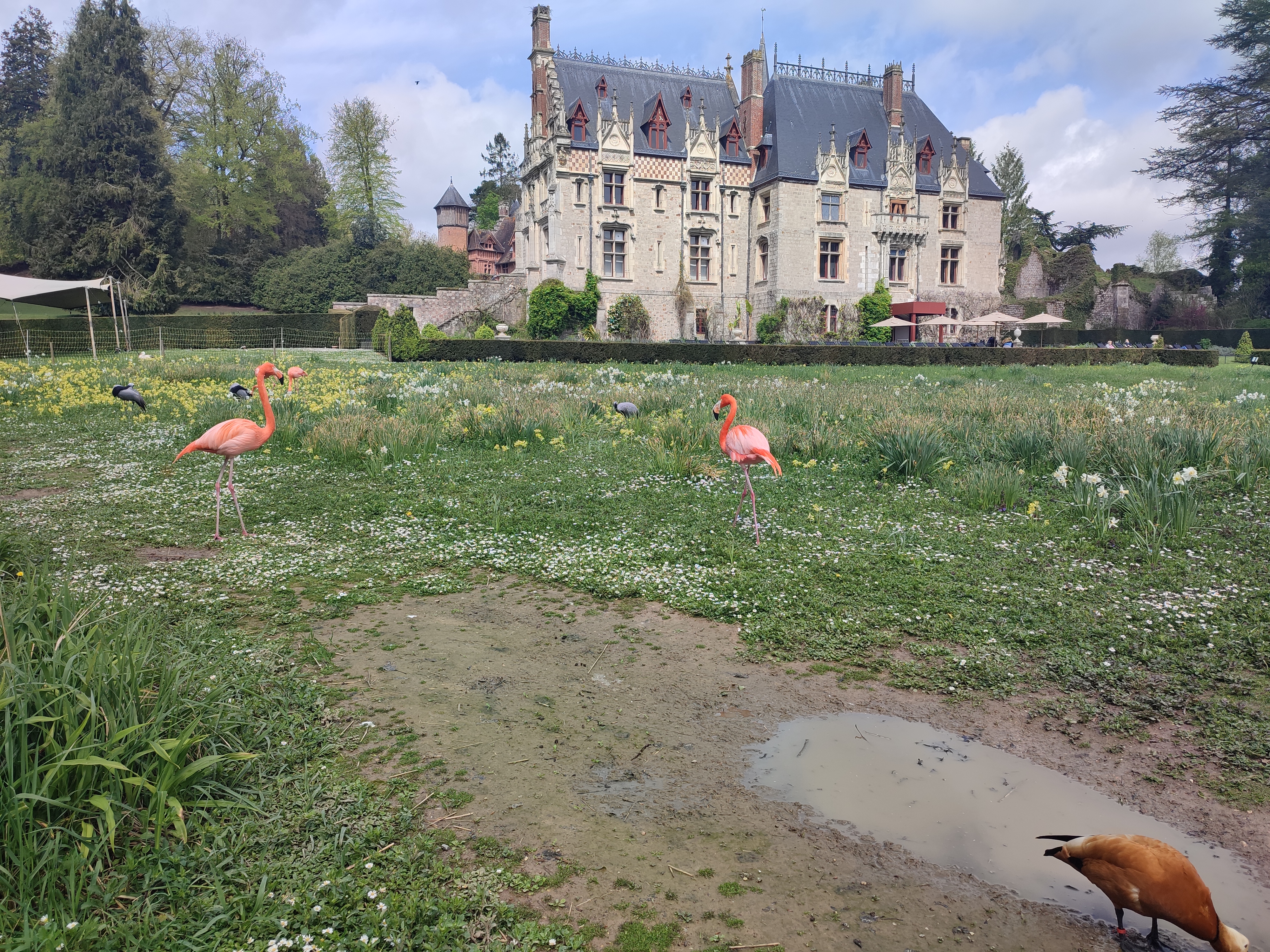 Photo n° 6 de l'avis de Hélène.e fait le 17/05/2023 à 12:11