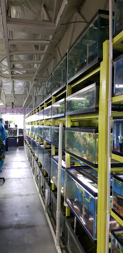Fish Farm «Aquarium & Garden Inc.», reviews and photos, 1610 S 341st Pl f, Federal Way, WA 98003, USA