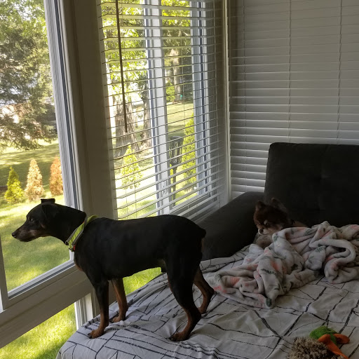 Pet Supply Store «PetSmart», reviews and photos, 8537 W Grand River Ave, Brighton, MI 48116, USA