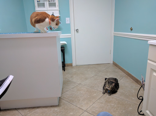 Pet Vet Animal Hospital image
