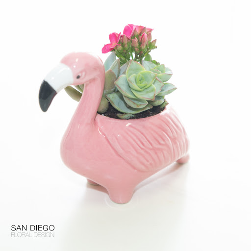 Florist «San Diego Floral Design», reviews and photos, 2415 San Diego Ave #105, San Diego, CA 92110, USA