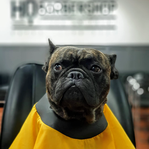 Reviews of HQ barbershop in Stoke-on-Trent - Barber shop