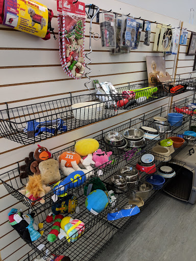 Thrift Store «Yavapai Humane Society Thrift Store», reviews and photos