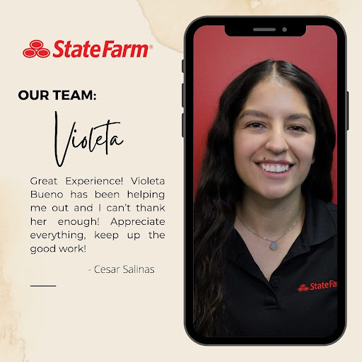 Auto Insurance Agency «State Farm: Ricardo Sempertegui», reviews and photos