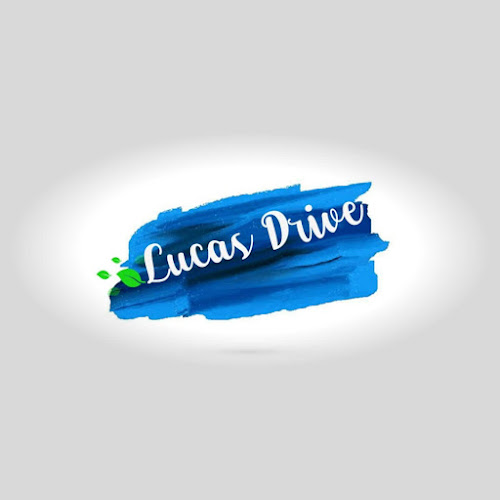 Opiniones de Lucas DRIVE en Nueva Loja - Servicio de lavado de coches