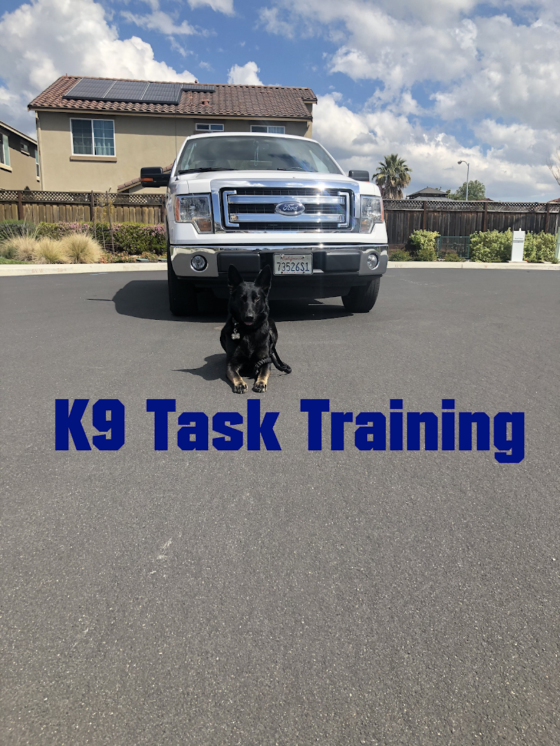 K9TaskTraining