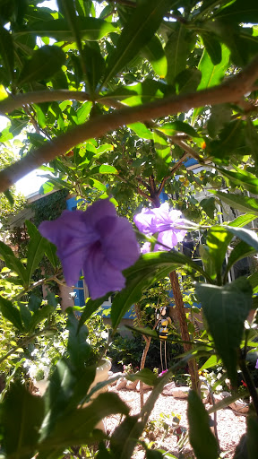 Banquet Hall «Lawlor Events Center», reviews and photos, 1664 N Virginia St, Reno, NV 89557, USA