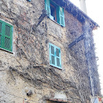 Photo n°1 de l'avis de Roberta.a fait le 23/12/2020 à 11:30 sur le  Il Casale delle Streghe à Monte Compatri