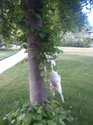 Park «Hilltop Park», reviews and photos, 3242 S Richfield St, Aurora, CO 80013, USA