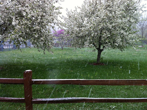 Water Park «Kentucky Splash WaterPark and Campground», reviews and photos, 1050 Kentucky 92, Williamsburg, KY 40769, USA