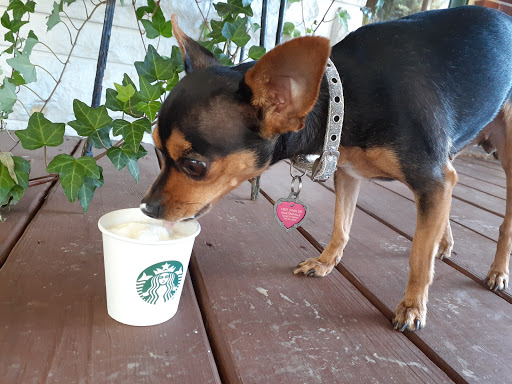 Coffee Shop «Starbucks», reviews and photos, 2198 Burton Ln, Martinsville, IN 46151, USA