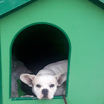 Photo n°2 de l'avis de Greg.e fait le 22/12/2019 à 12:58 sur le  Cascina cattabreghetta à Pombia