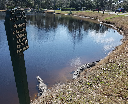 Golf Club «Shipyard Golf Club», reviews and photos, 45 Shipyard Dr, Hilton Head Island, SC 29928, USA