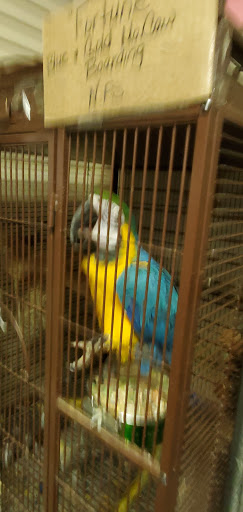 Pet Store «Petfection Exotic Pet Specialist», reviews and photos, 2989 PA-611 Suite 102, Tannersville, PA 18372, USA