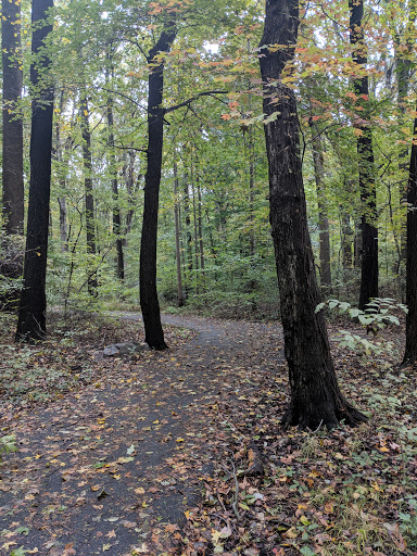 Park «Bechtel Park», reviews and photos, Naamans Rd, Claymont, DE 19703, USA