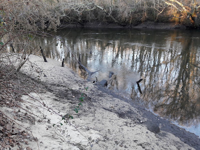 Résidence le Domaine de Marthias à Le Teich