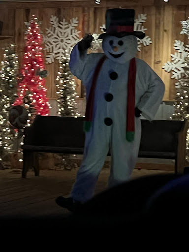 Tourist Attraction «Chads Winter Wonderland», reviews and photos, 791 Old Laguardo Rd E, Lebanon, TN 37087, USA