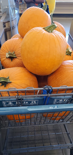 Supermarket «ALDI», reviews and photos, 2650 Little Elm Pkwy, Little Elm, TX 75068, USA