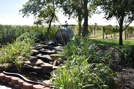 Winery «Wyldewood Cellars Winery», reviews and photos, 951 East 119th St S, Peck, KS 67120, USA