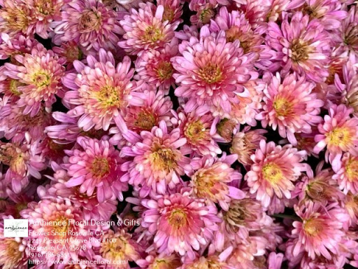 Florist «Ambience Floral Design & Gifts», reviews and photos, 1249 Pleasant Grove Blvd #100, Roseville, CA 95678, USA