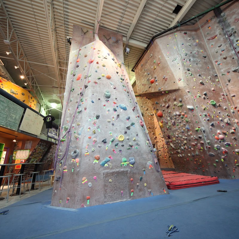 Vertically Inclined Rock Gym