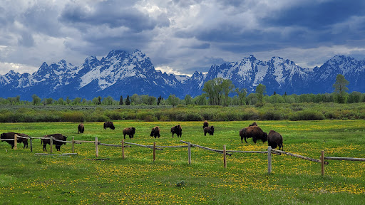 National Park «Grand Teton National Park», reviews and photos