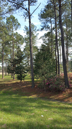 Car Dealer «Boardwalk Motorcars», reviews and photos, 13359 Miller Rd, Walker, LA 70785, USA