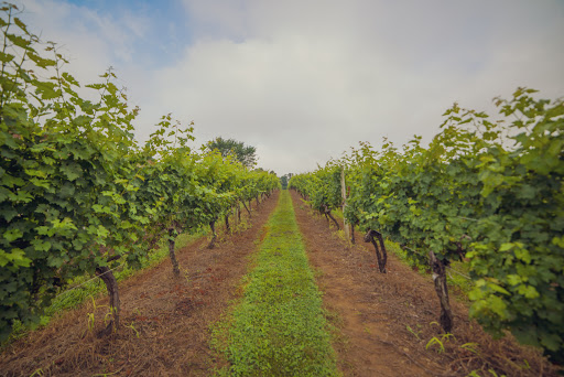 Winery «Fiore Winery», reviews and photos, 3026 Whiteford Rd, Pylesville, MD 21132, USA