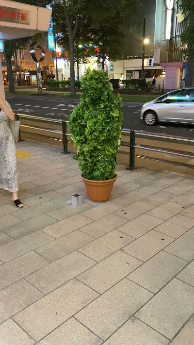 ダンシンググリーン