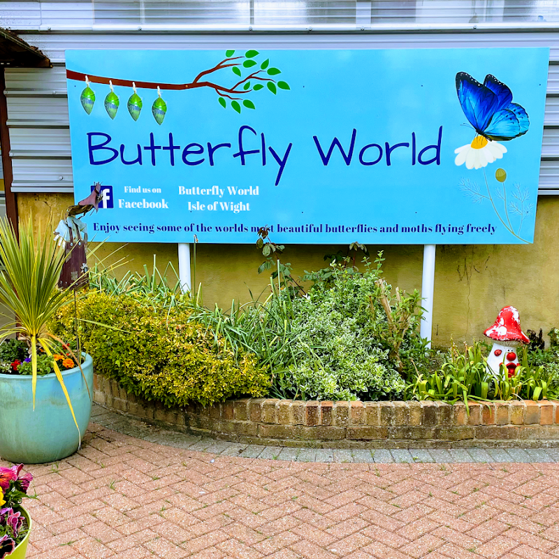 Butterfly World IOW