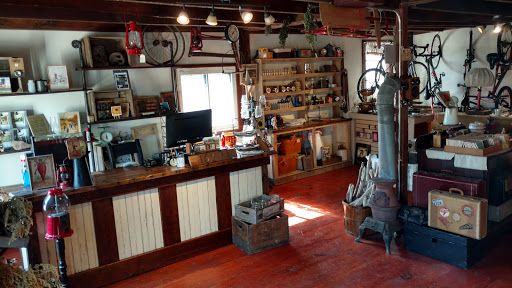 Bicycle Store «Trailside Bicycles», reviews and photos, 16271 Canal Rd, Hulberton, NY 14470, USA