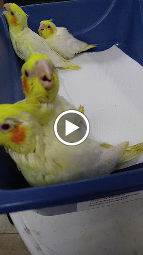 Pet Supply Store «Pet World», reviews and photos, 6527 Centralia Rd, Chesterfield, VA 23832, USA