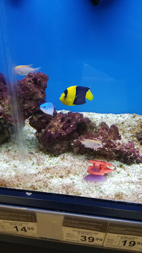 Pet Supply Store «Petco Animal Supplies», reviews and photos, 2807 Wilma Rudolph Blvd, Clarksville, TN 37040, USA