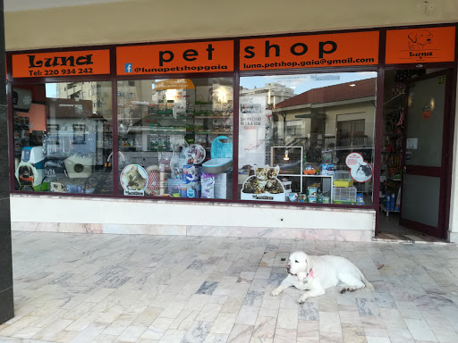 Luna pet shop