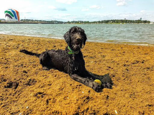 State Park «Squantum Point Park», reviews and photos, Miwra Haul Rd, Quincy, MA 02171, USA