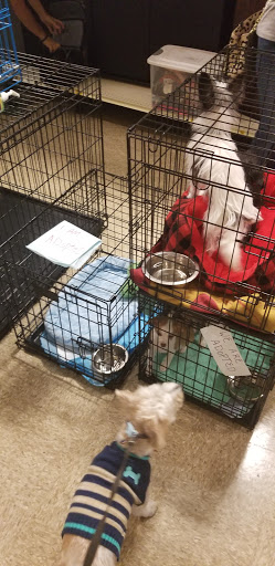 Pet Supply Store «PetSmart», reviews and photos, 4151 Turtle Creek Dr, Coral Springs, FL 33067, USA