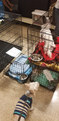 PetSmart - Photo 7 - Car repair in Coral Springs, FL, Coral Springs