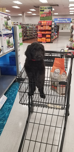 Pet Supply Store «Petco Animal Supplies», reviews and photos, 8111 W Broward Blvd, Plantation, FL 33324, USA